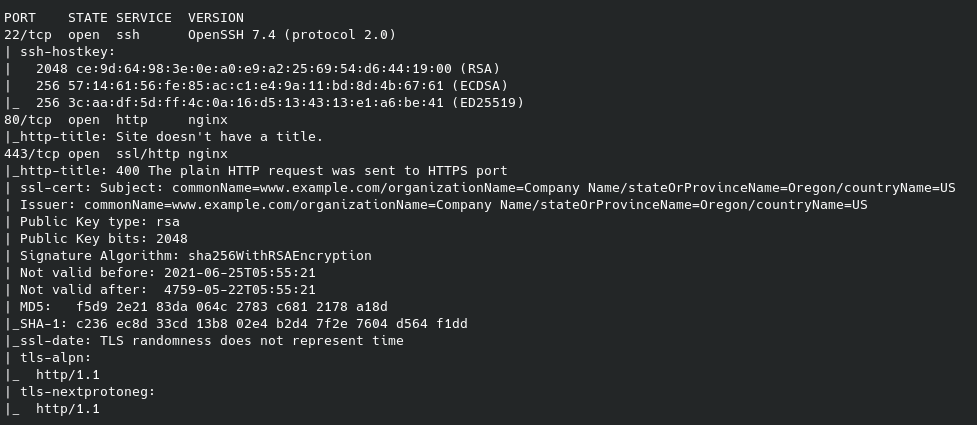 nmap scan results